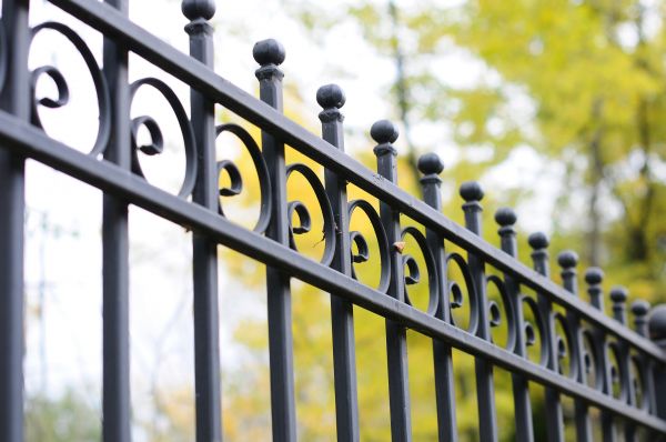 Wrought Iron Fence Cleaning in Gainesville