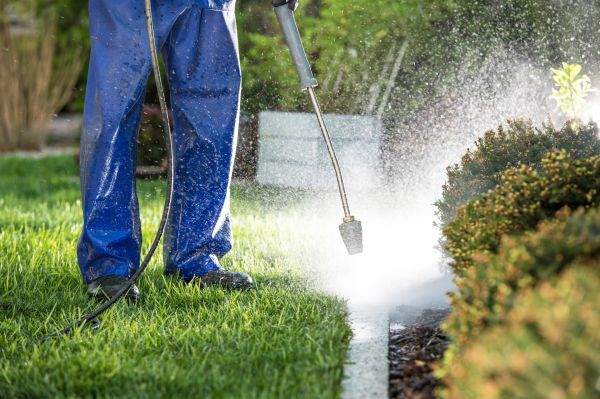 Cost of Curb Cleaning in Gainesville