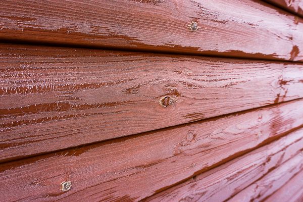 Cost of Cedar Siding Cleaning in Gainesville