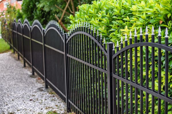 Iron Fence Pressure Washing in Gainesville