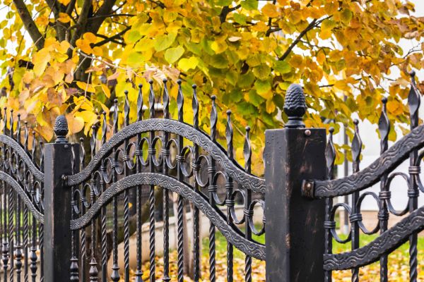 Wrought Iron Fence Washing in Gainesville