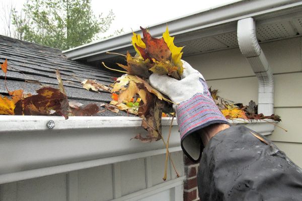 Eaves Cleaning in Gainesville