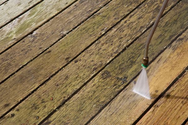 Cost of Deck Mold Removal in Gainesville